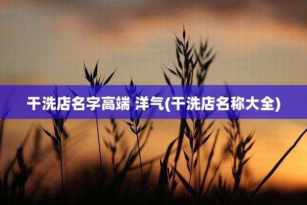 干洗店名字高端 洋气(干洗店名称大全)