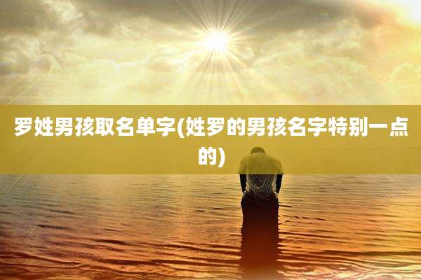 罗姓男孩取名单字(姓罗的男孩名字特别一点的)