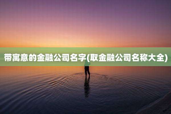 带寓意的金融公司名字(取金融公司名称大全)