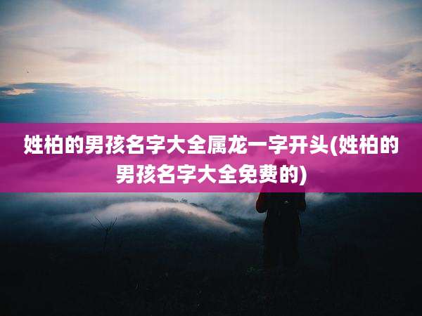 姓柏的男孩名字大全属龙一字开头(姓柏的男孩名字大全免费的)
