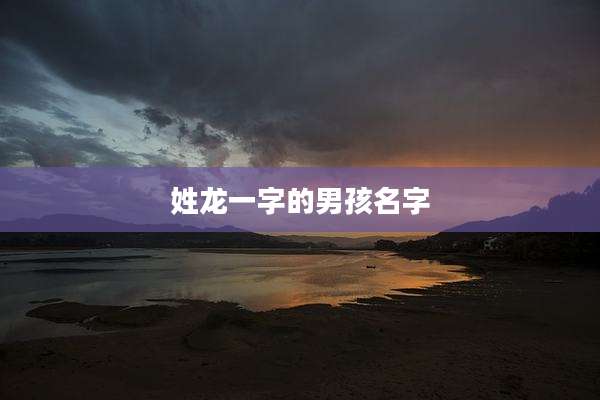 姓龙一字的男孩名字