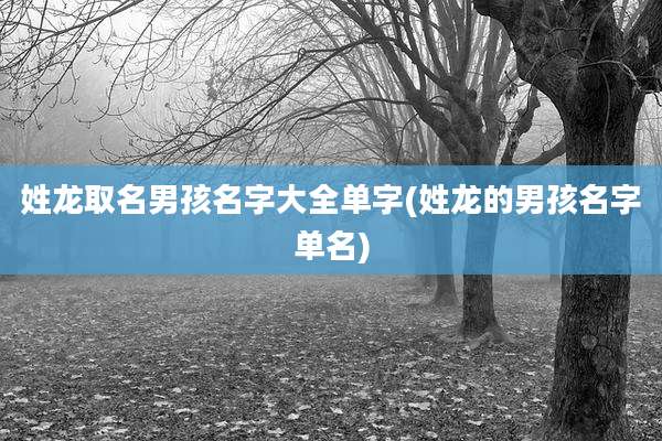 姓龙取名男孩名字大全单字(姓龙的男孩名字单名)