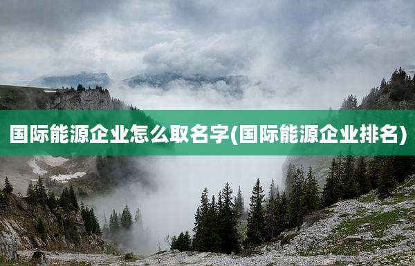 国际能源企业怎么取名字(国际能源企业排名)