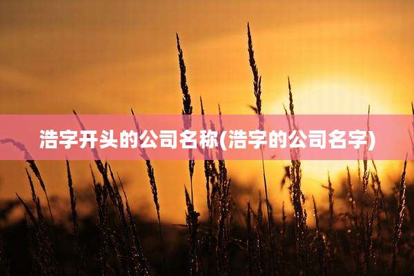 浩字开头的公司名称(浩字的公司名字)