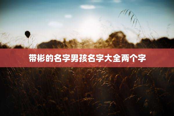 带彬的名字男孩名字大全两个字