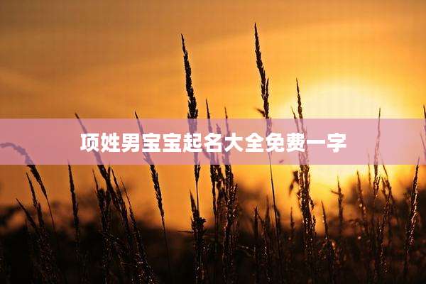 项姓男宝宝起名大全免费一字