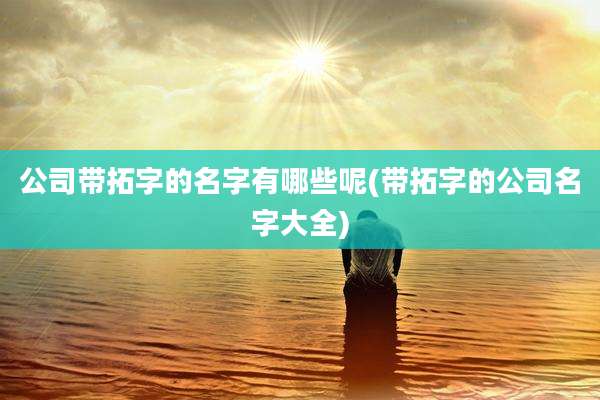 公司带拓字的名字有哪些呢(带拓字的公司名字大全)