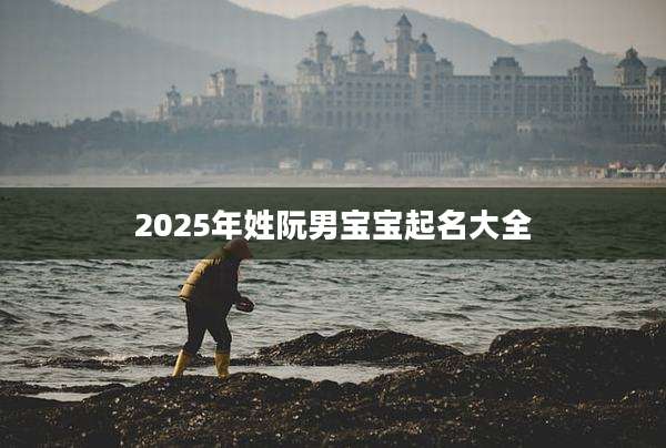 2025年姓阮男宝宝起名大全