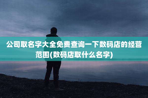 公司取名字大全免费查询一下数码店的经营范围(数码店取什么名字)
