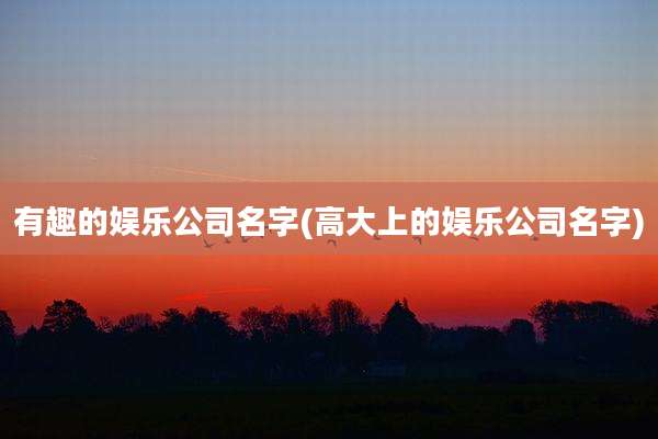 有趣的娱乐公司名字(高大上的娱乐公司名字)