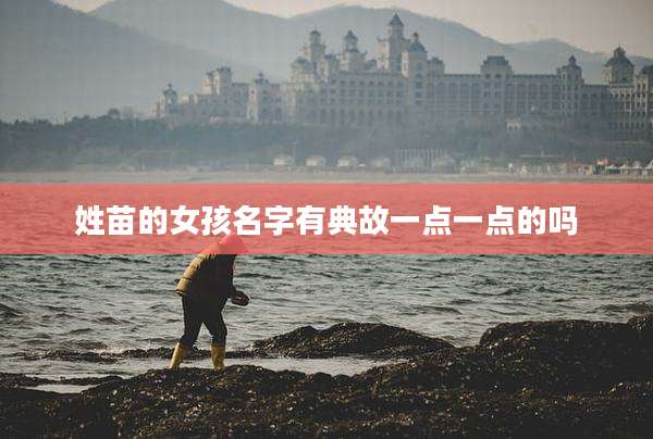 姓苗的女孩名字有典故一点一点的吗