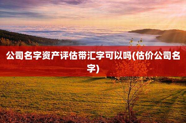 公司名字资产评估带汇字可以吗(估价公司名字)