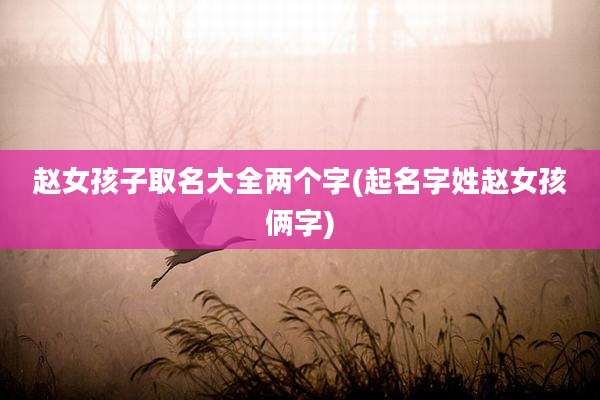 赵女孩子取名大全两个字(起名字姓赵女孩俩字)