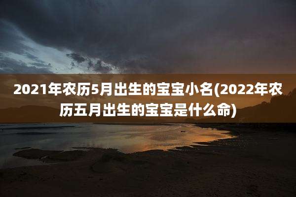 2021年农历5月出生的宝宝小名(2022年农历五月出生的宝宝是什么命)