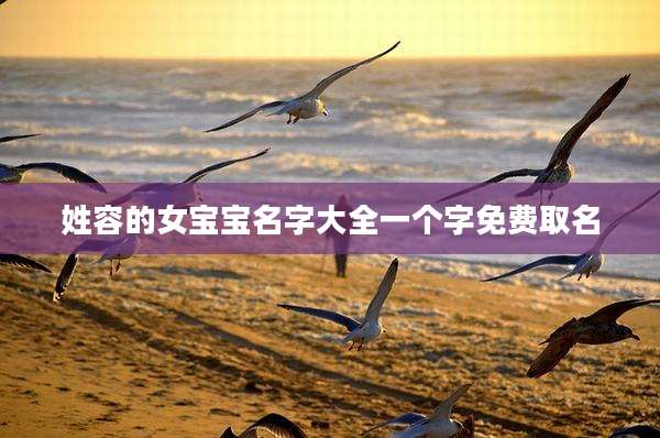 姓容的女宝宝名字大全一个字免费取名