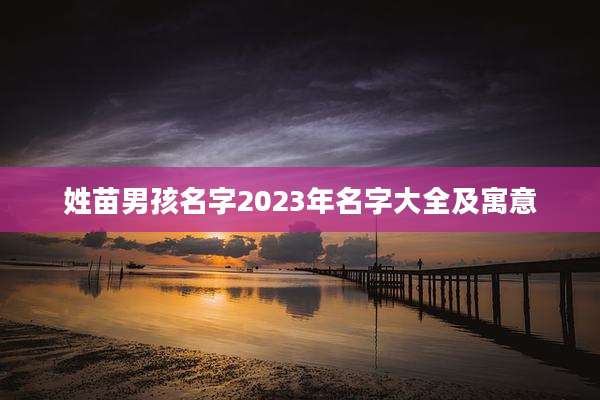 姓苗男孩名字2023年名字大全及寓意