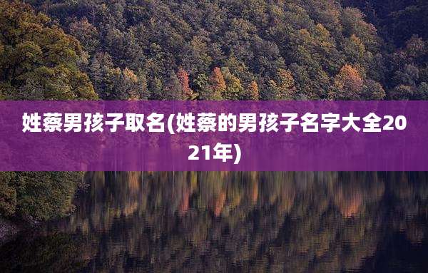 姓蔡男孩子取名(姓蔡的男孩子名字大全2021年)