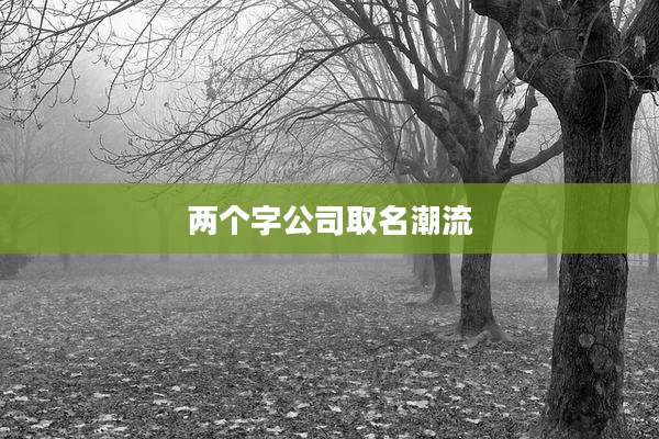 两个字公司取名潮流
