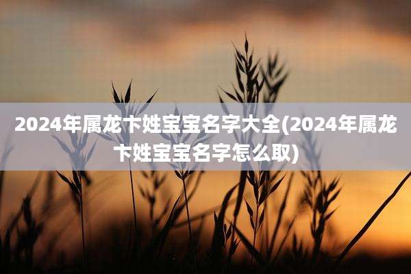 2024年属龙卞姓宝宝名字大全(2024年属龙卞姓宝宝名字怎么取)