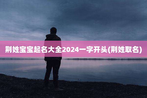 荆姓宝宝起名大全2024一字开头(荆姓取名)