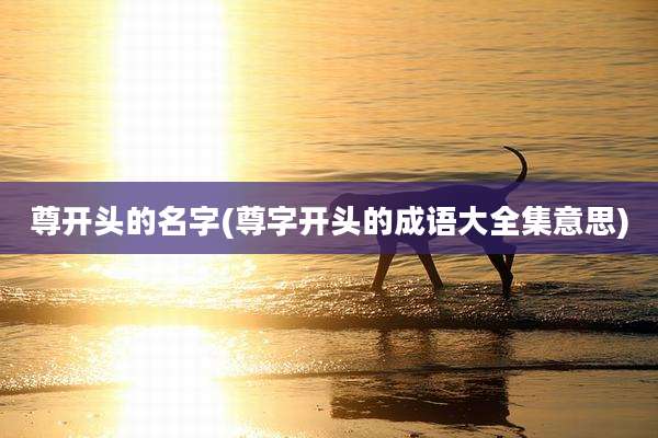尊开头的名字(尊字开头的成语大全集意思)