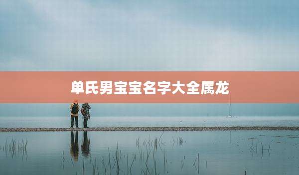 单氏男宝宝名字大全属龙