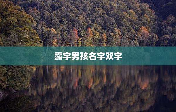 露字男孩名字双字