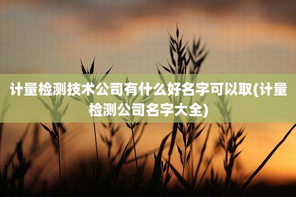 计量检测技术公司有什么好名字可以取(计量检测公司名字大全)