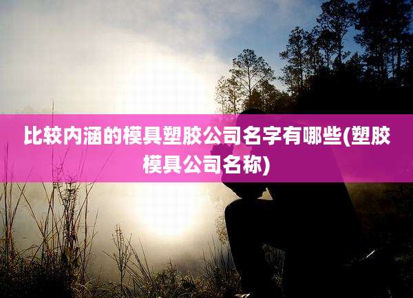 比较内涵的模具塑胶公司名字有哪些(塑胶模具公司名称)