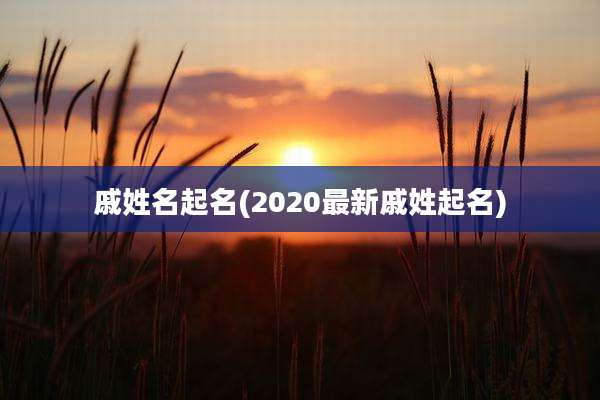 戚姓名起名(2020最新戚姓起名)