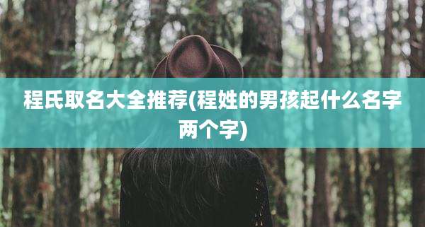 程氏取名大全推荐(程姓的男孩起什么名字两个字)