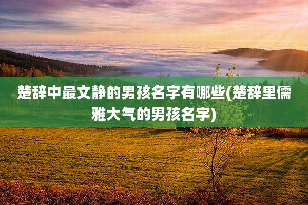 楚辞中最文静的男孩名字有哪些(楚辞里儒雅大气的男孩名字)