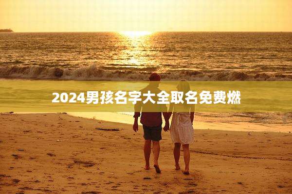 2024男孩名字大全取名免费燃