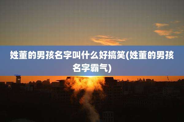 姓董的男孩名字叫什么好搞笑(姓董的男孩名字霸气)