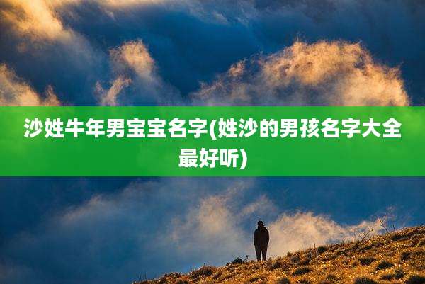 沙姓牛年男宝宝名字(姓沙的男孩名字大全最好听)