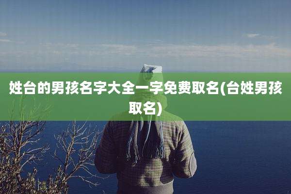 姓台的男孩名字大全一字免费取名(台姓男孩取名)