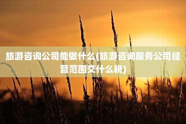 旅游咨询公司能做什么(旅游咨询服务公司经营范围交什么税)