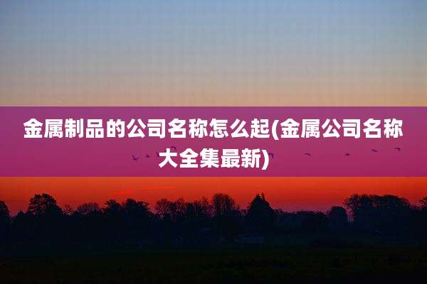 金属制品的公司名称怎么起(金属公司名称大全集最新)