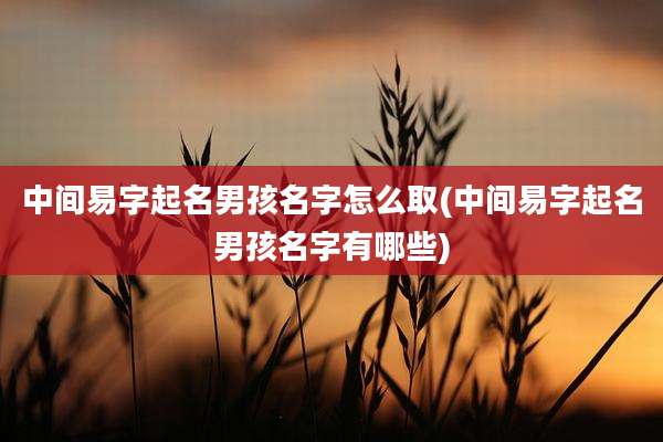 中间易字起名男孩名字怎么取(中间易字起名男孩名字有哪些)