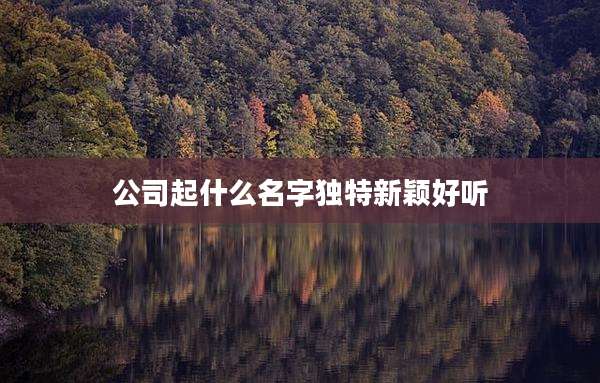 公司起什么名字独特新颖好听
