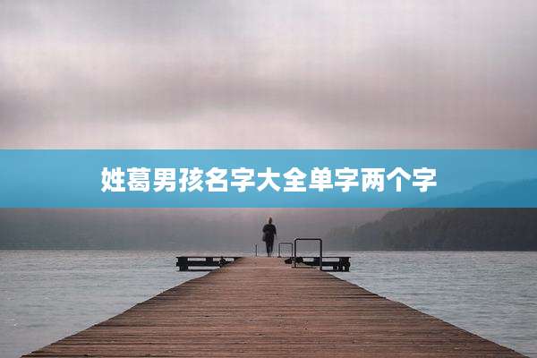 姓葛男孩名字大全单字两个字