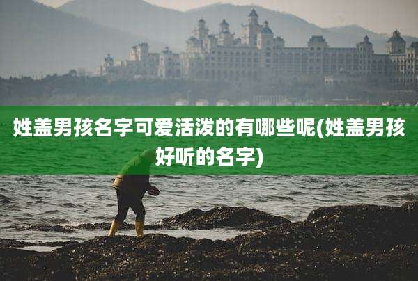 姓盖男孩名字可爱活泼的有哪些呢(姓盖男孩好听的名字)