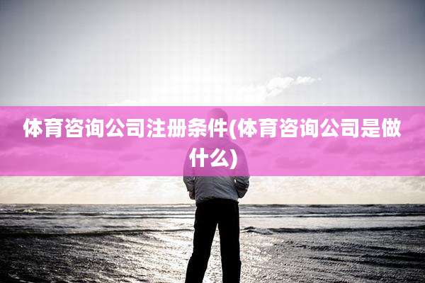 体育咨询公司注册条件(体育咨询公司是做什么)