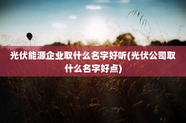 光伏能源企业取什么名字好听(光伏公司取什么名字好点)