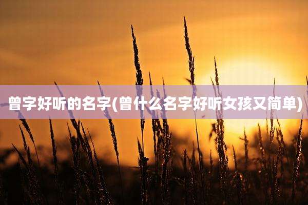 曾字好听的名字(曾什么名字好听女孩又简单)