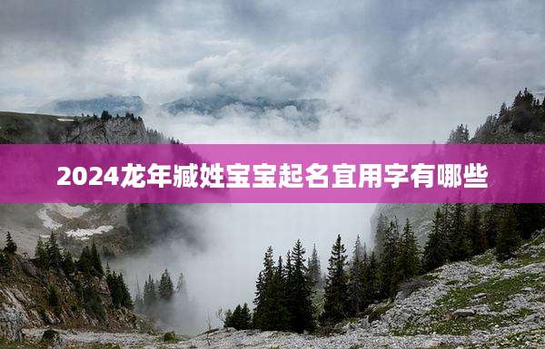 2024龙年臧姓宝宝起名宜用字有哪些