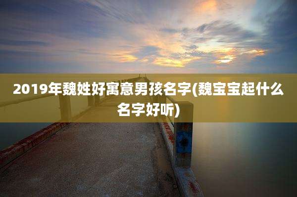 2019年魏姓好寓意男孩名字(魏宝宝起什么名字好听)