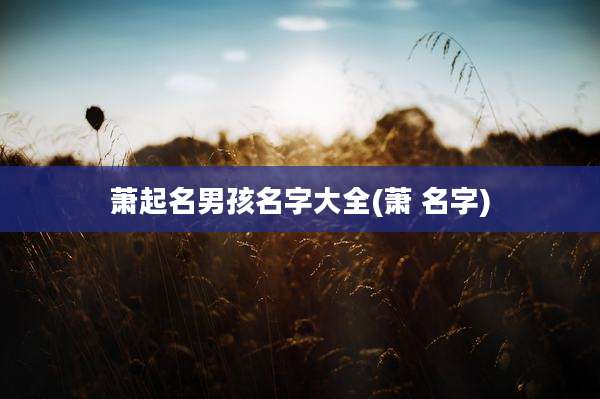 萧起名男孩名字大全(萧 名字)