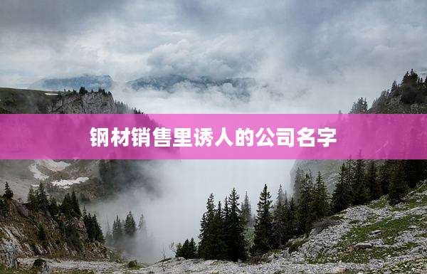 钢材销售里诱人的公司名字