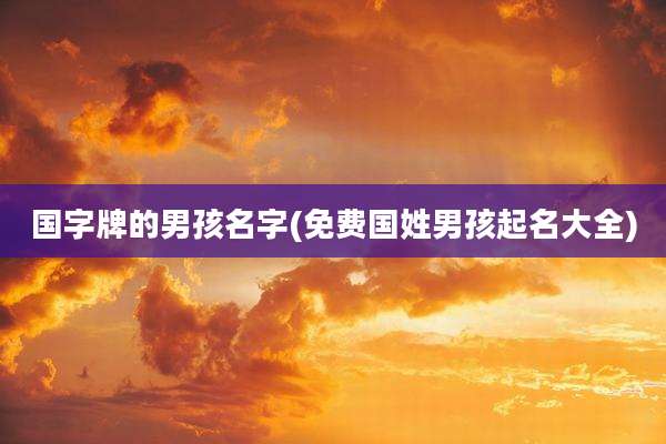 国字牌的男孩名字(免费国姓男孩起名大全)